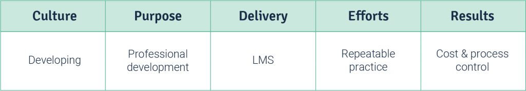 culture, purpose, delivery mode, input efforts and results of level 2 L&D maturity