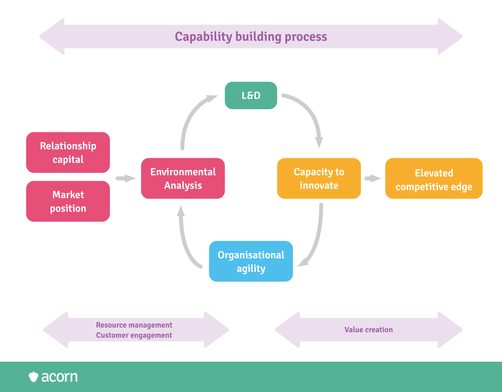 infographic of the capability building process