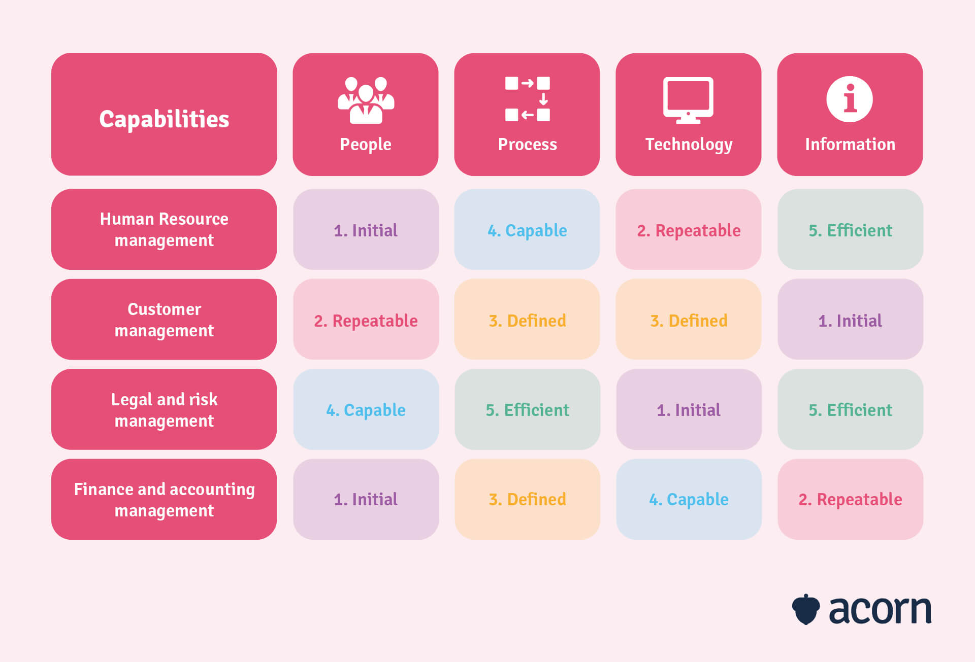 skills matrix for executing a capability assessment