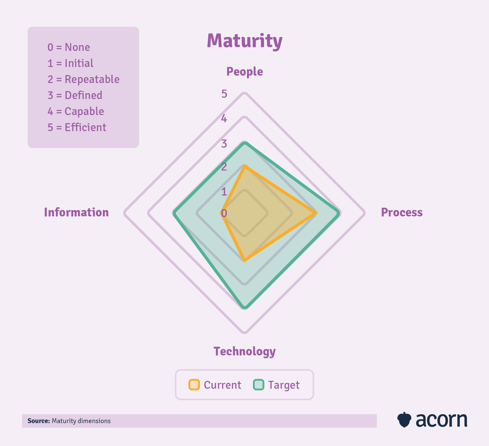 5 levels of capability maturity dimensions